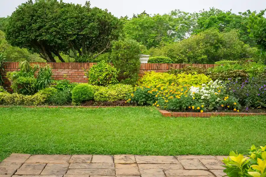 Reliable Landscape Contractor in San Diego, CA