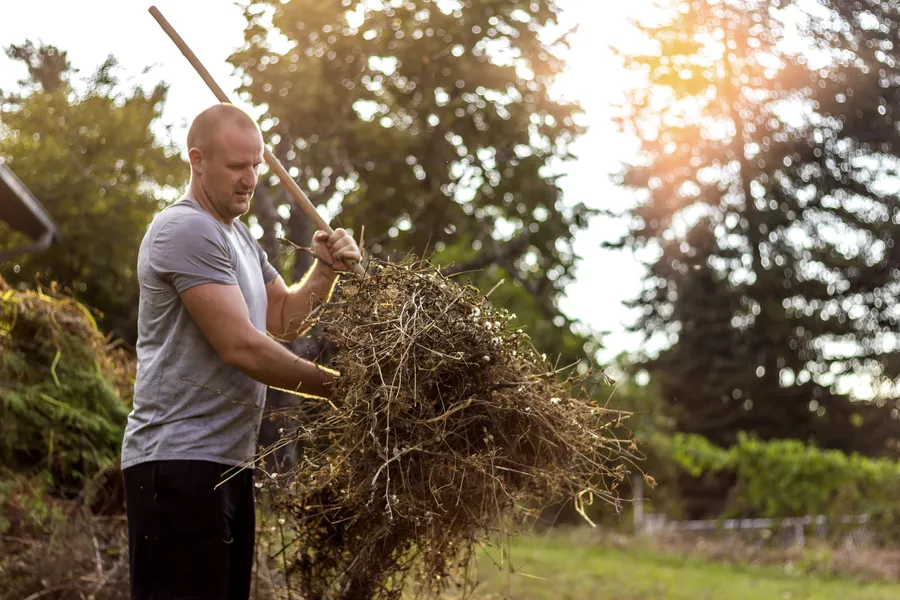 How To Know When It's Time For A Professional Yard Cleanup in San Diego, CA